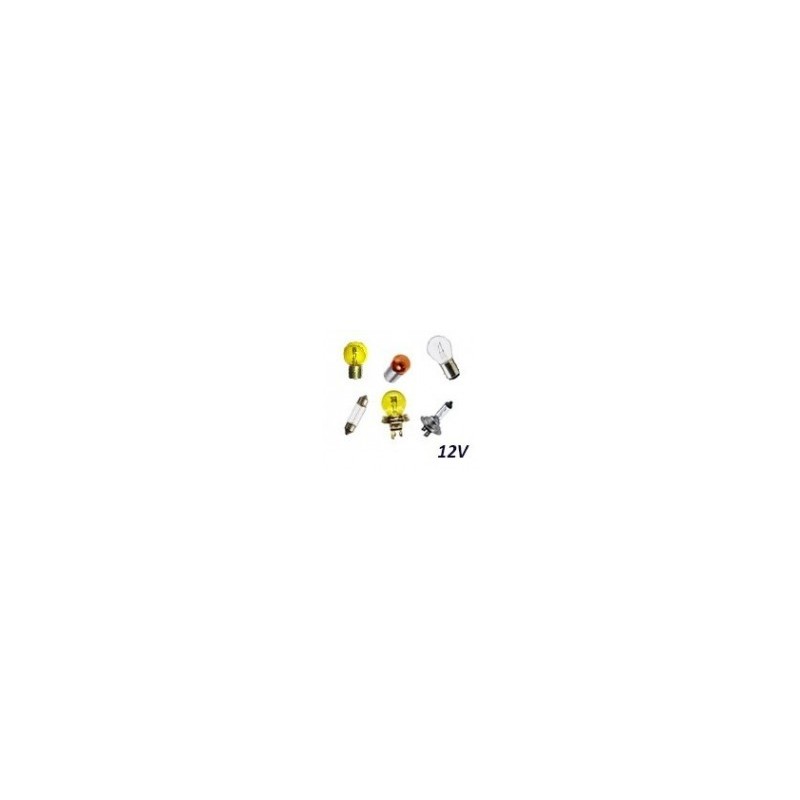 KIT D AMPOULES 12 V.
