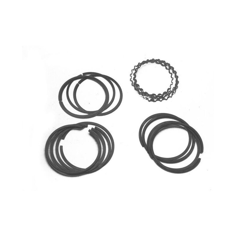 SEGMENTS DIAMETRE 77mm 1200 et PIED MOULE 30 cv
